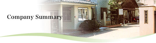 Company Summary
