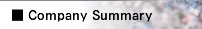 Company Summary
