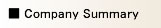 Company Summary